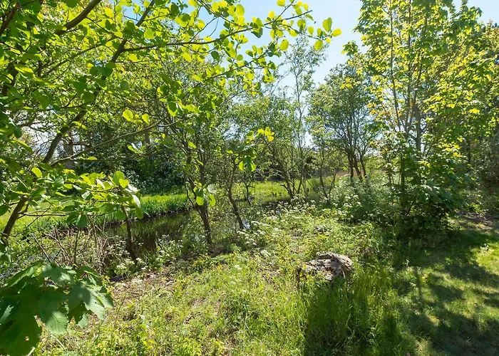 Holiday home De Zeester 4-person N De Koog Callantsoog