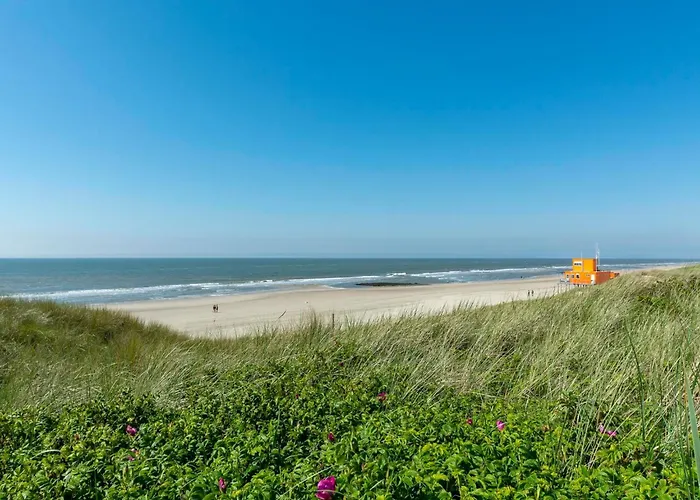 De Zeester 4-person N De Koog Holiday home